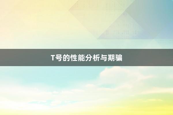 T号的性能分析与期骗